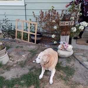 Meet your Posher, Mary